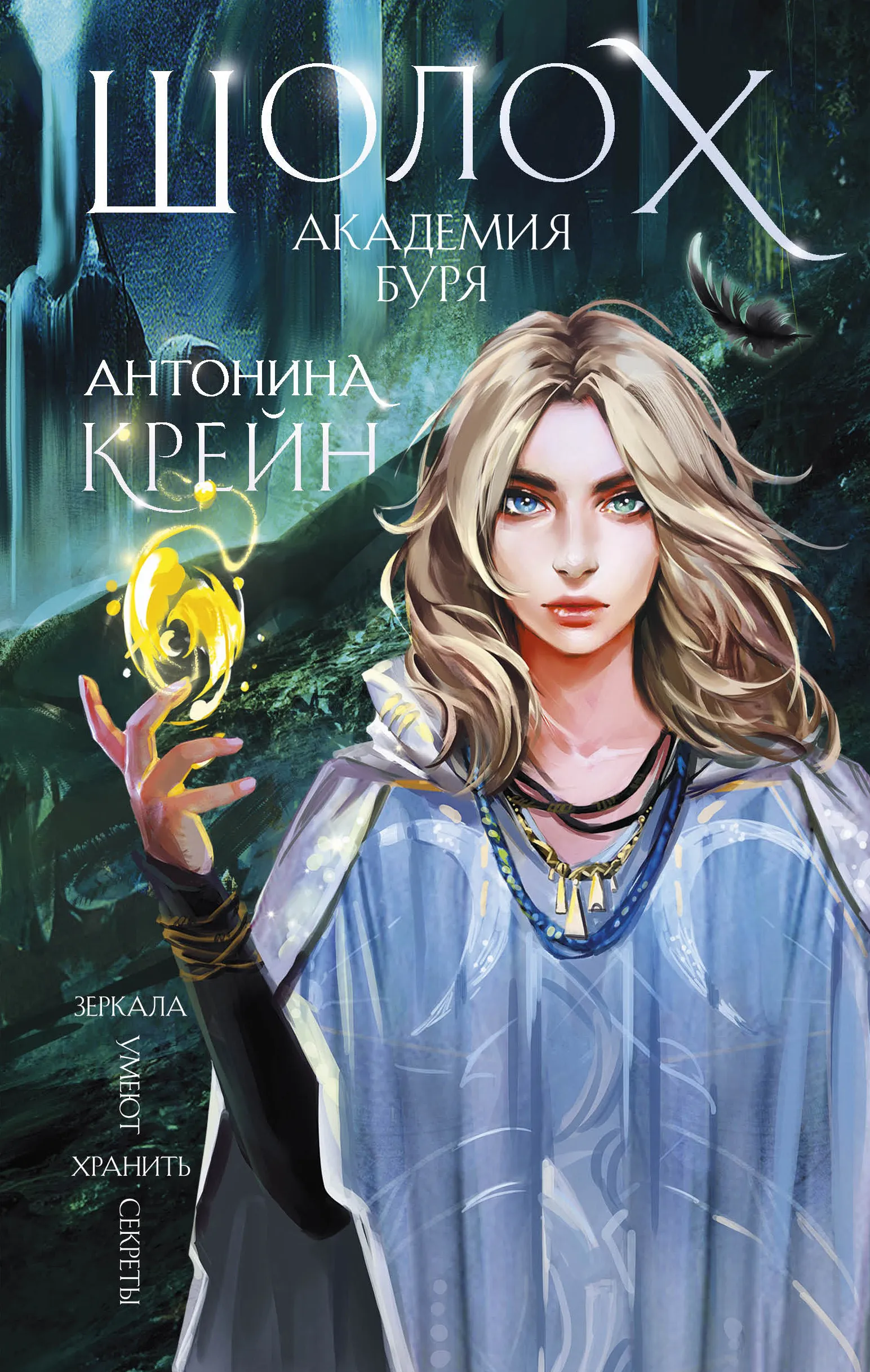 Шолох. Академия Буря. Книга 4