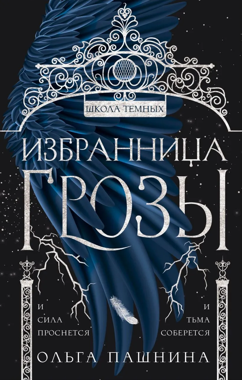 Школа тёмных. Избранница грозы. Книга 1