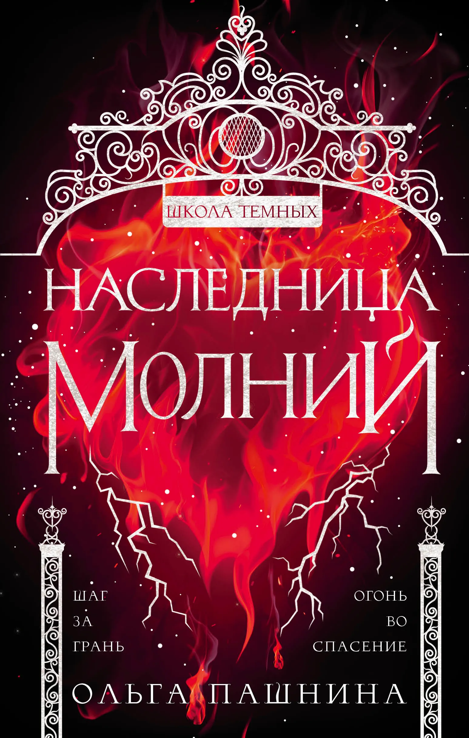 Школа тёмных. Наследница Молнии. Книга 2