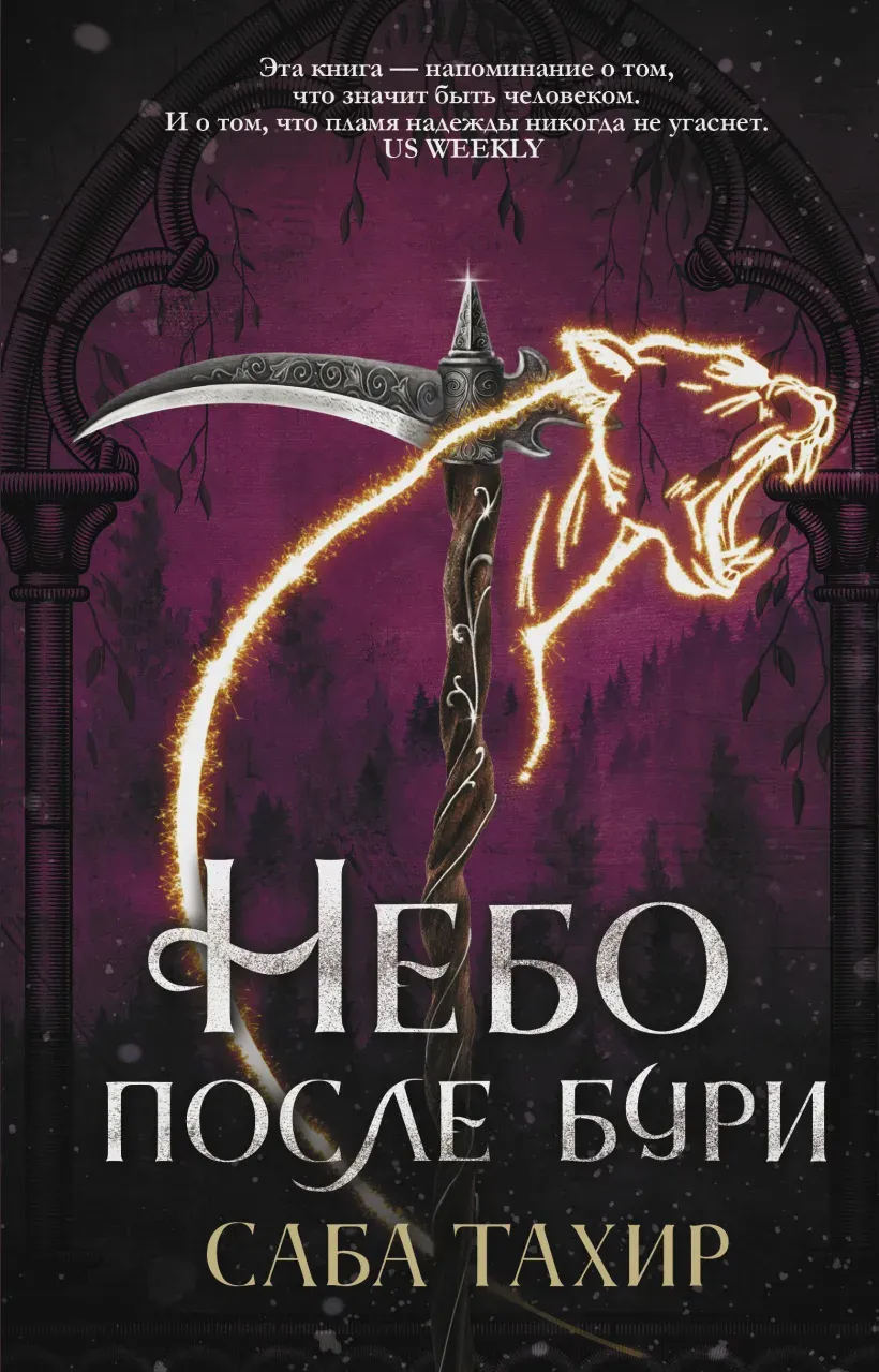 Небо после бури. Книга 4