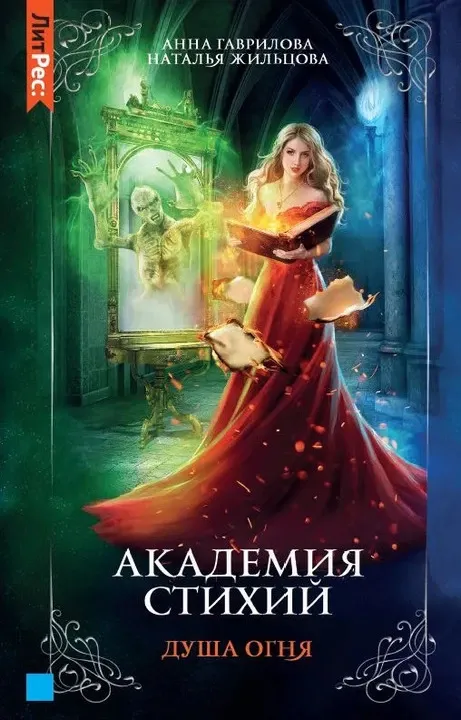 Академия стихий. Душа Огня. Книга 2