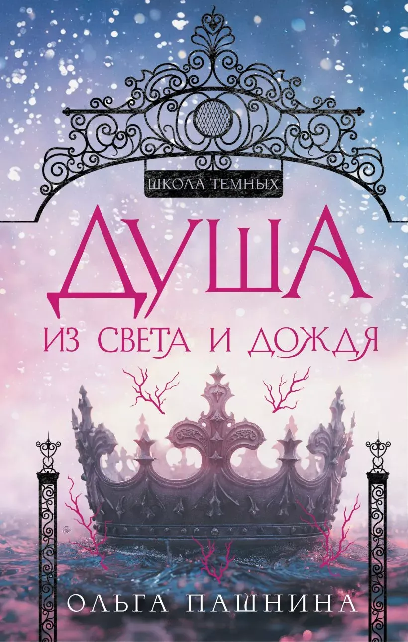 Школа тёмных. Душа из света и дождя. Книга 2