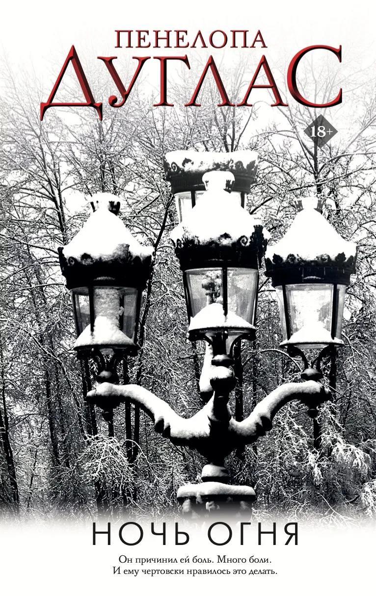 Ночь огня. Книга 4.5