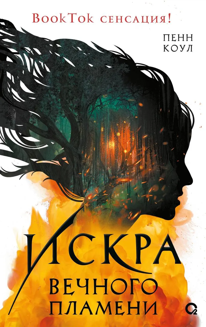 Искра вечного пламени. Книга 1